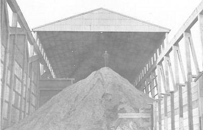 19449_1329439554599_6245691_n - copia